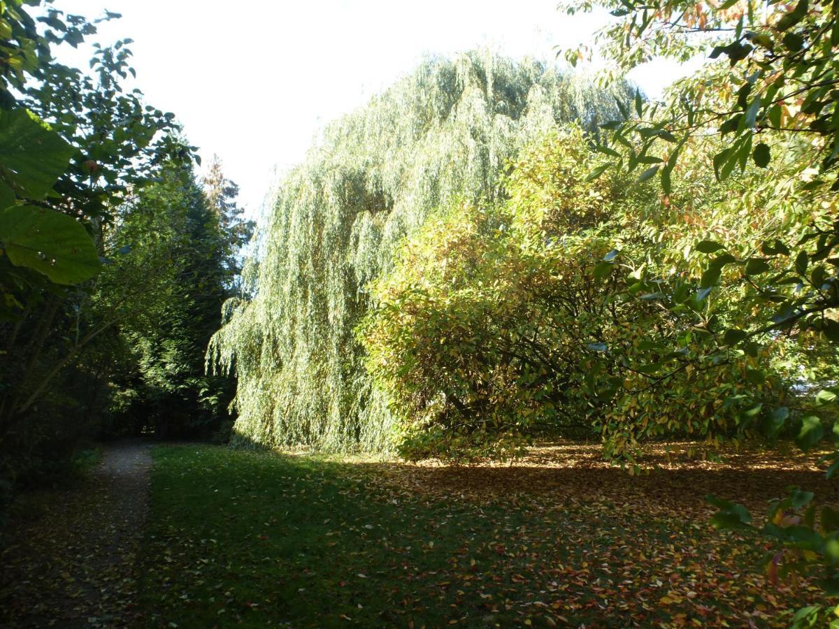 Fewo Im Naturschutzgebiet Hiddenhausen Dış mekan fotoğraf